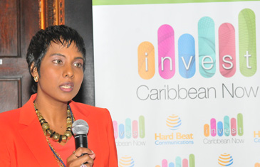 Felicia J. Persaud, founder, Invest Caribbean Now making the announcement at the June 4, 2014 summit. (Sharon Bennett Image)