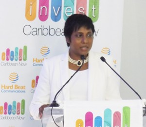 Felicia J. Persaud, CEO, Invest Caribbean, will present the workshop.